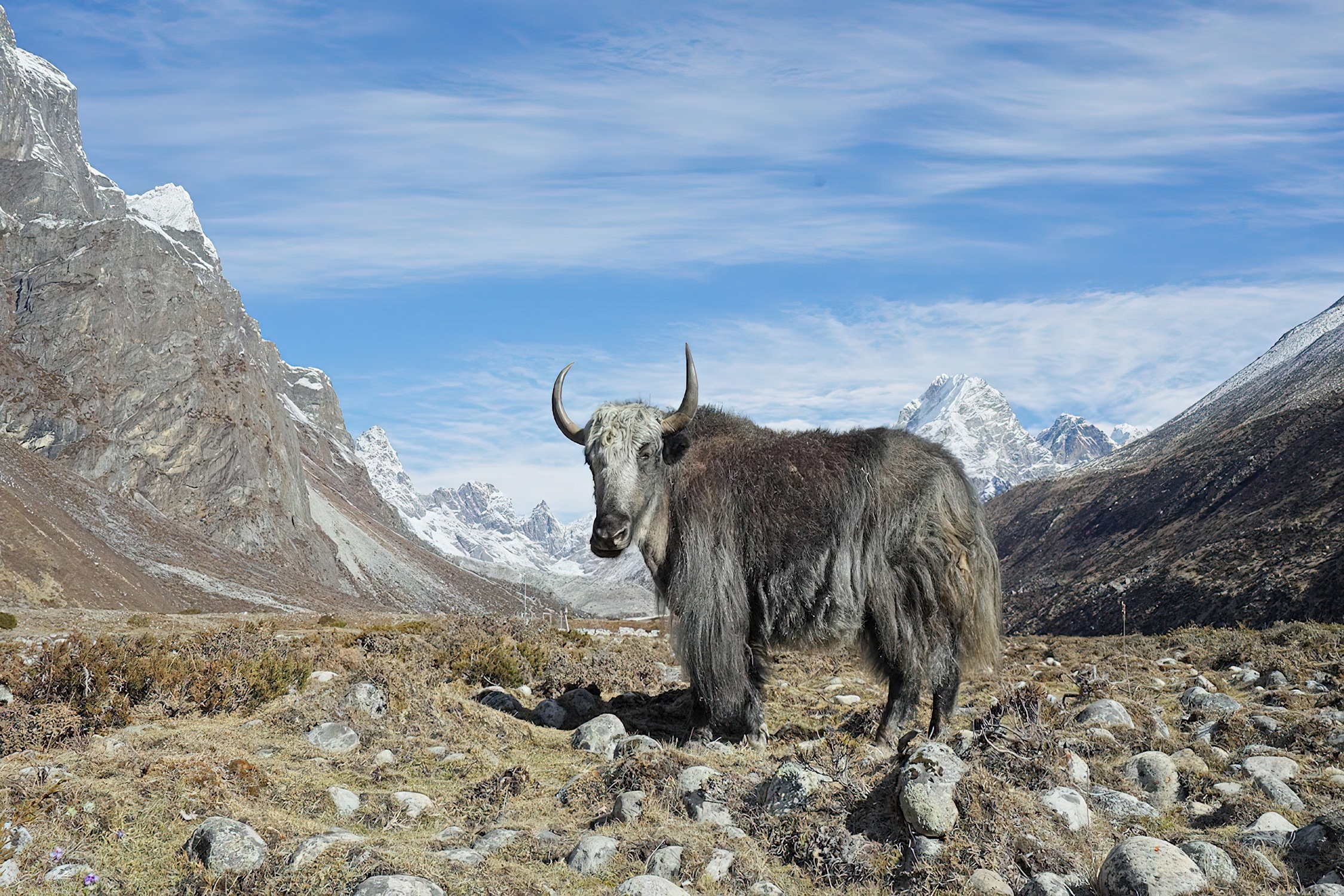 Dieu gi xay ra neu Everest tan chay hinh anh