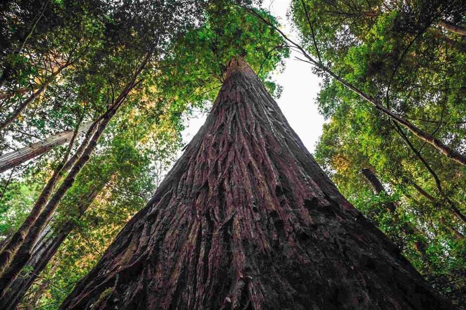 diem khong the ghe tham anh 10