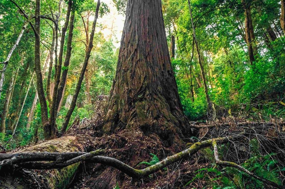 diem khong the ghe tham anh 11