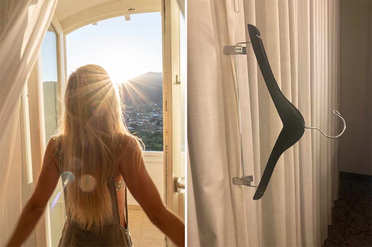 Meo de co giac ngu ngon o phong khach san hinh anh