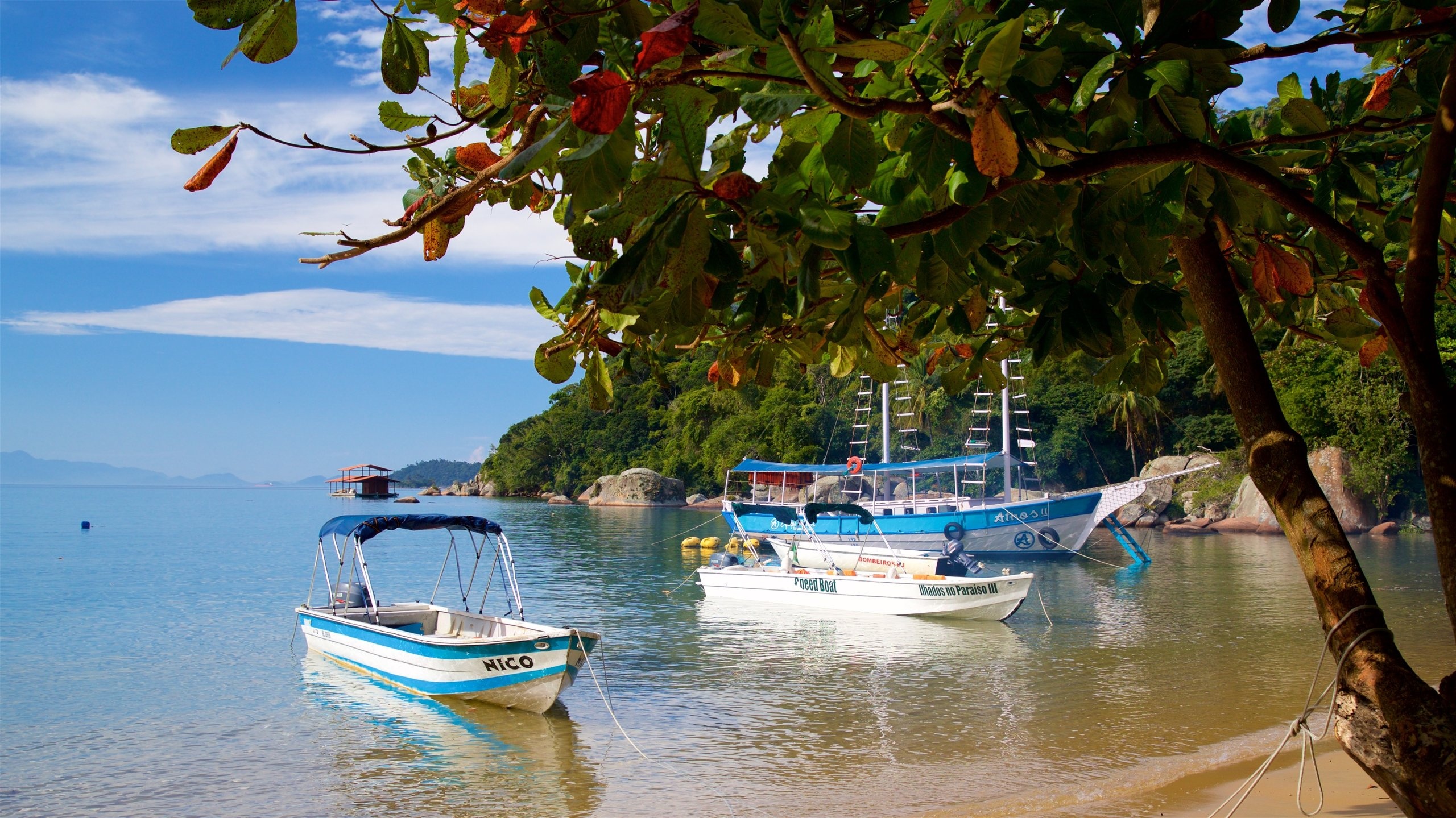 Ilha Grande ảnh 8 Ilha Grande anh 8