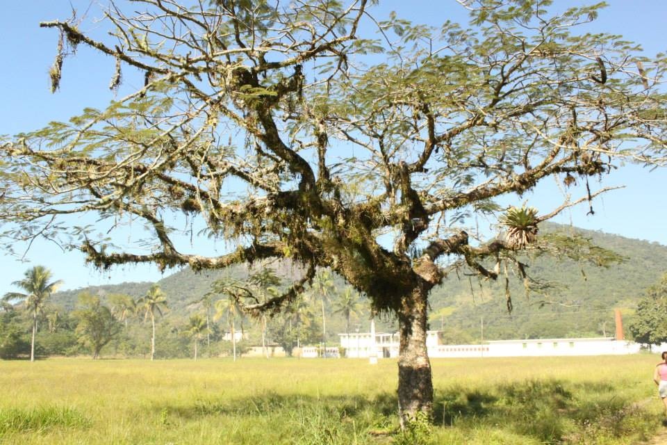 Ilha Grande ảnh 6 Ilha Grande anh 6
