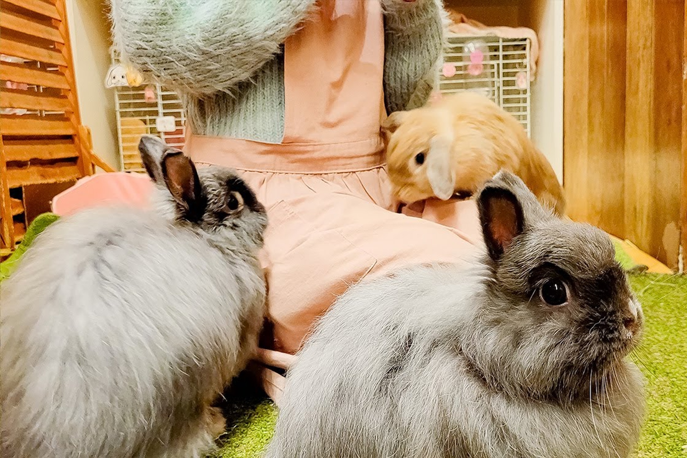 Tiem ca phe tho hut khach o Nhat hinh anh