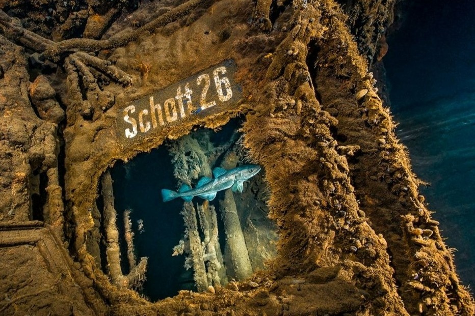 Ben trong nhung 'con tau ma' tren bien Baltic hinh anh