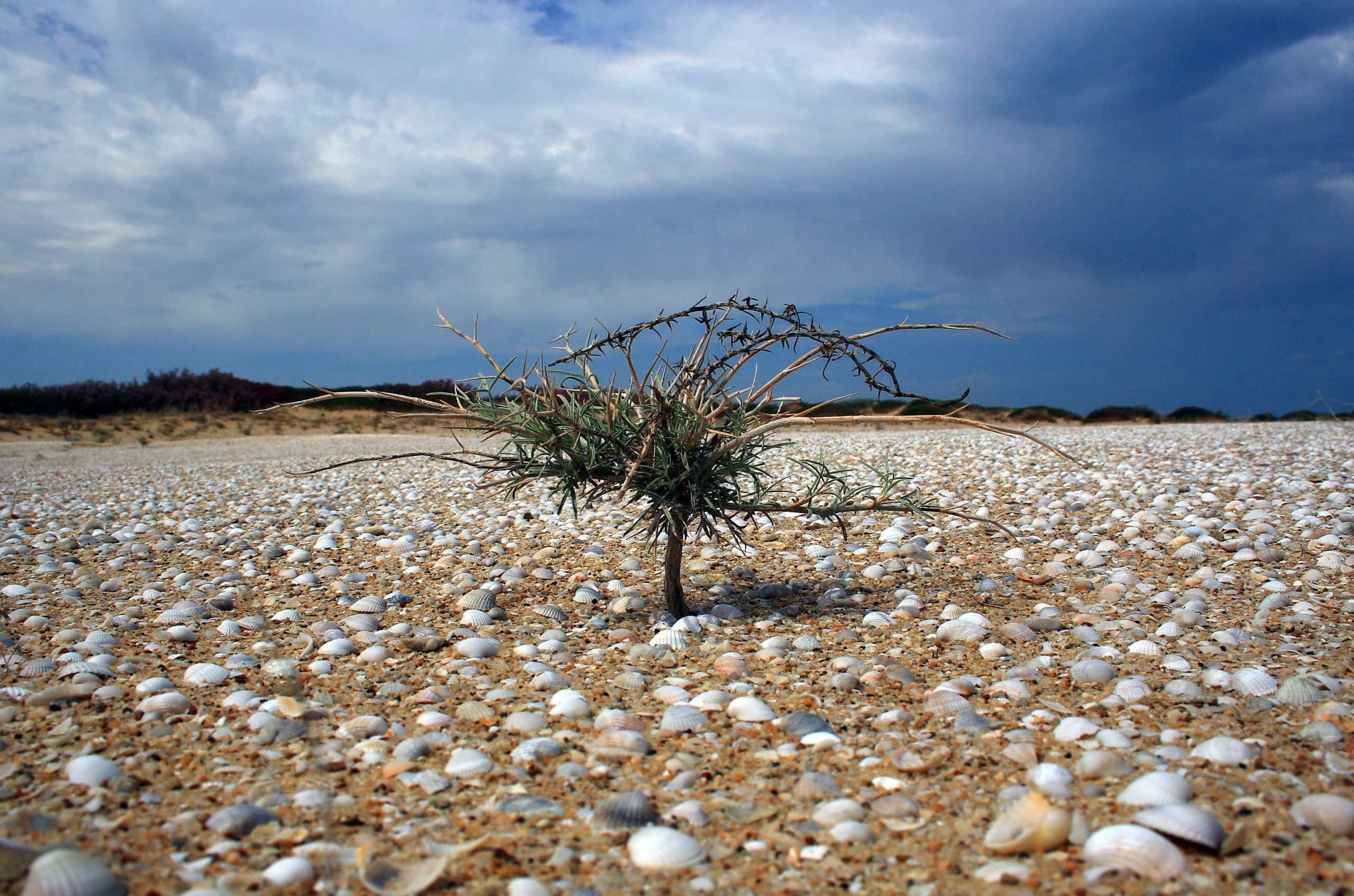 noi chet choc nhat anh 4