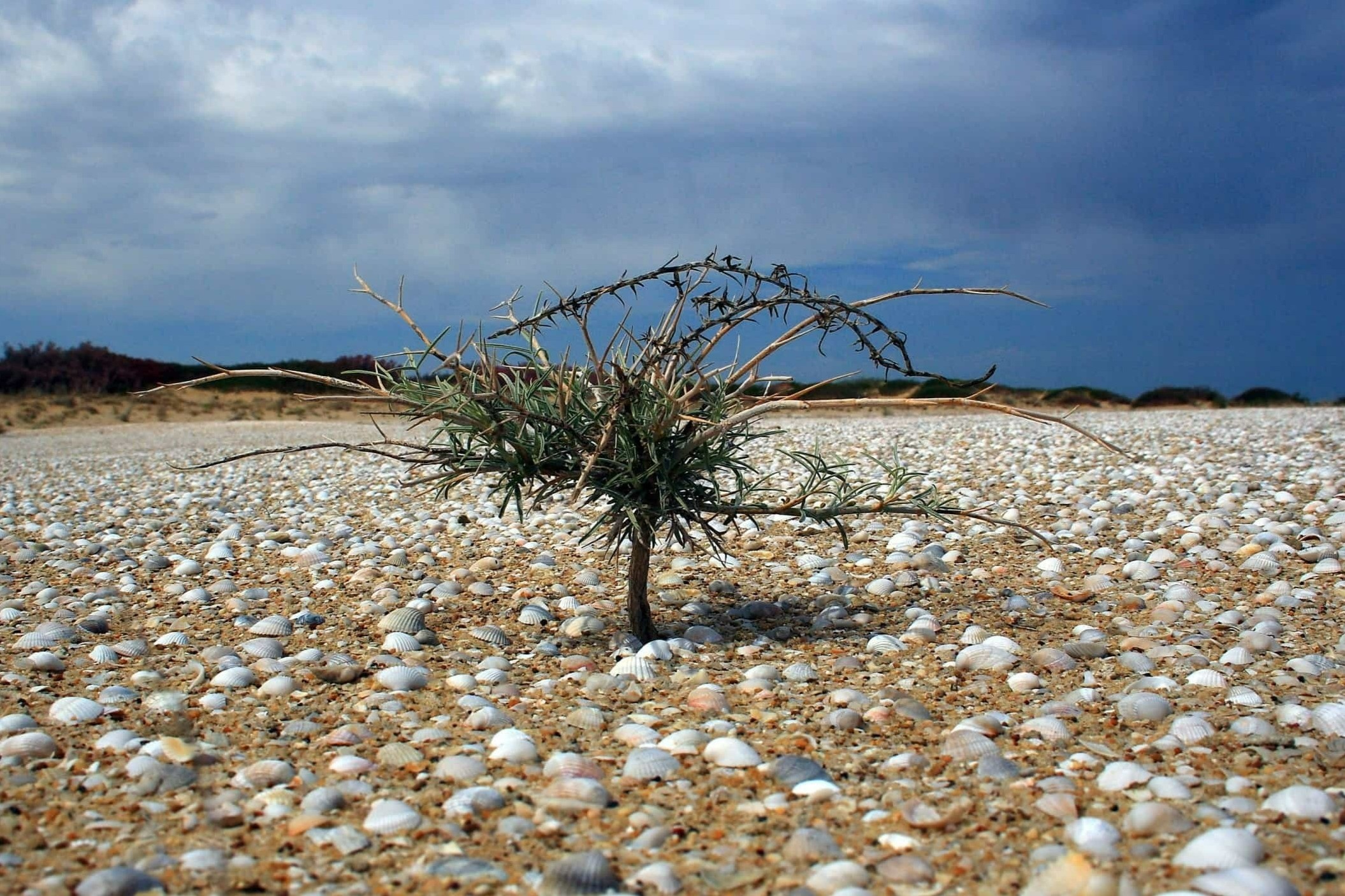 11 dia diem chet choc nhat the gioi hinh anh