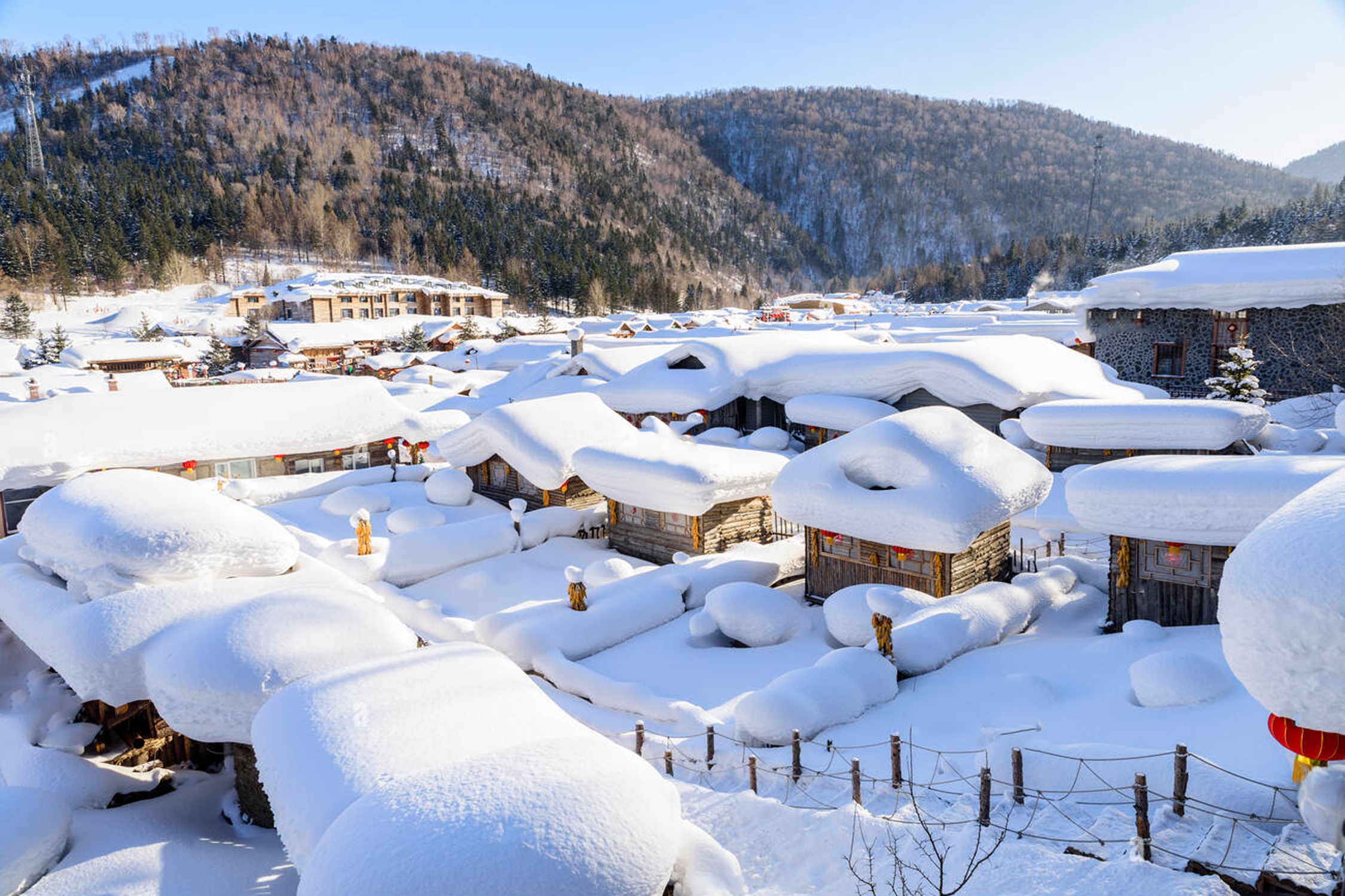 Ngoi lang hon nua nam bi tuyet bao phu hinh anh