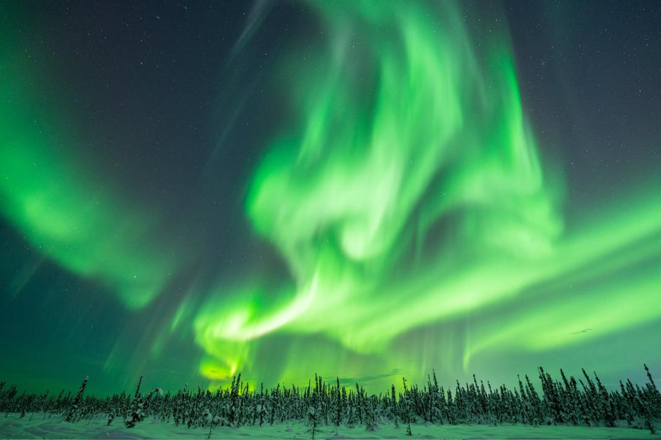 Ngam cuc quang tuyet dep o Alaska hinh anh