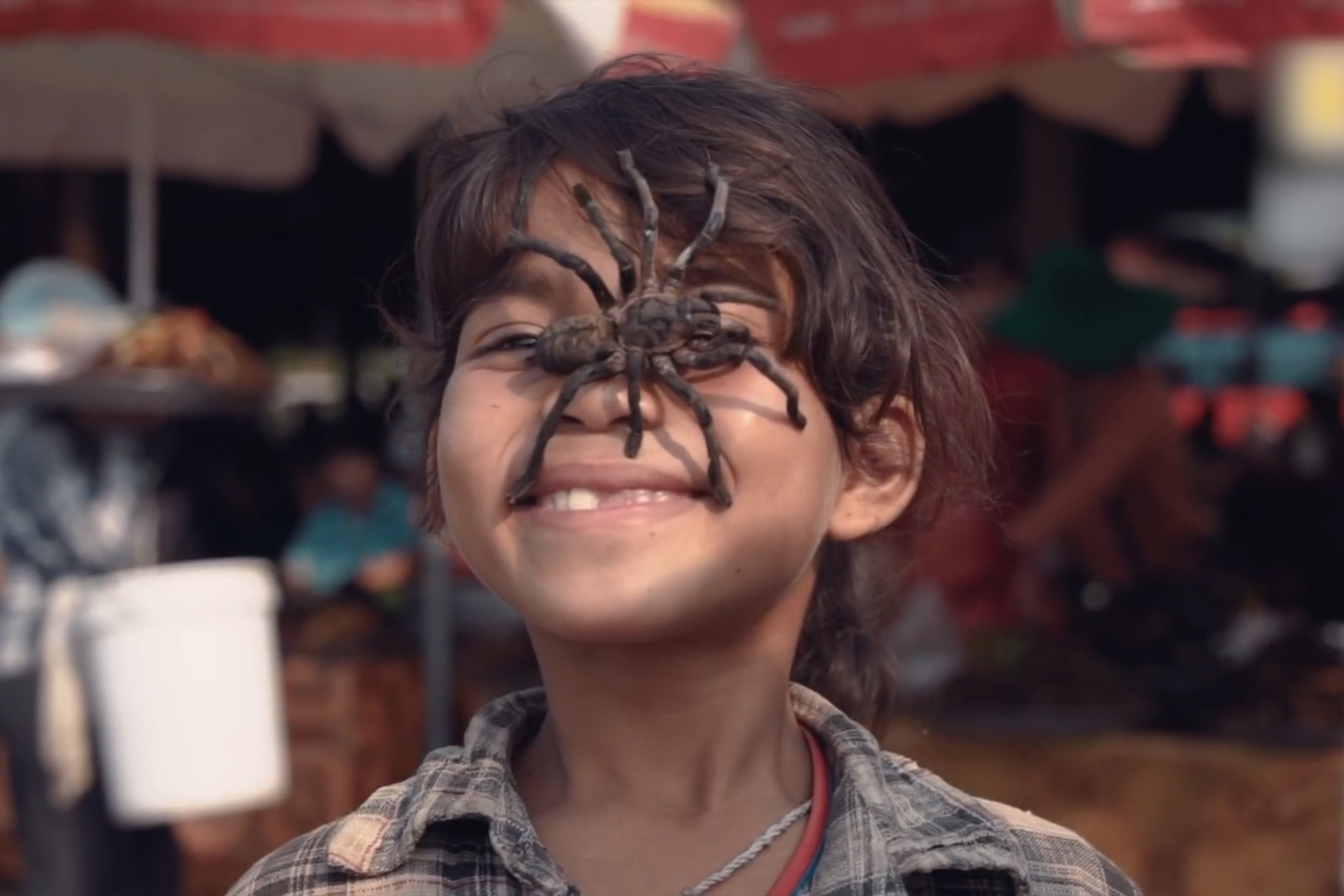 Mon nhen doc khong phai ai cung dam thu o Campuchia hinh anh