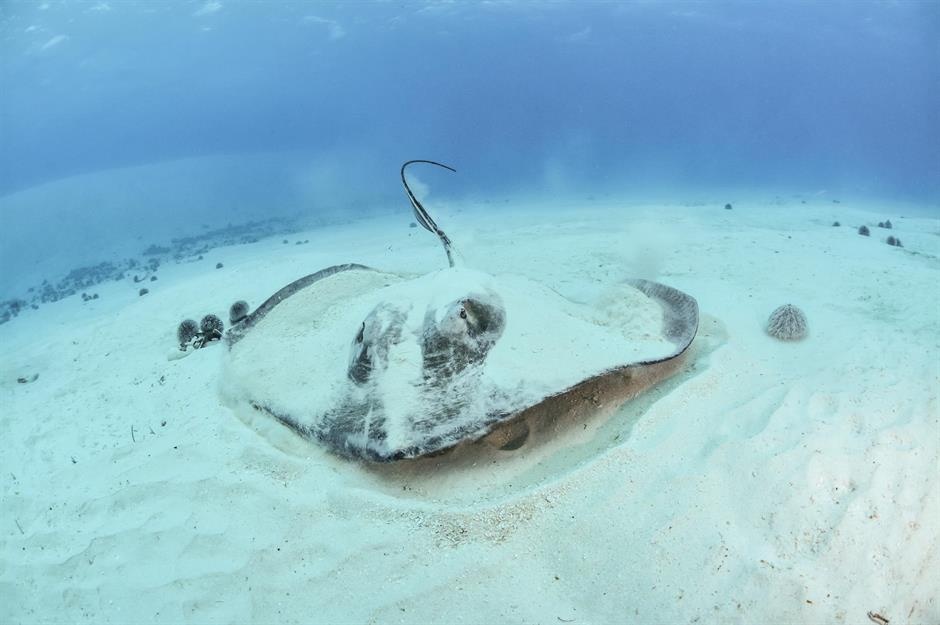 diem du lich nguy hiem anh 4