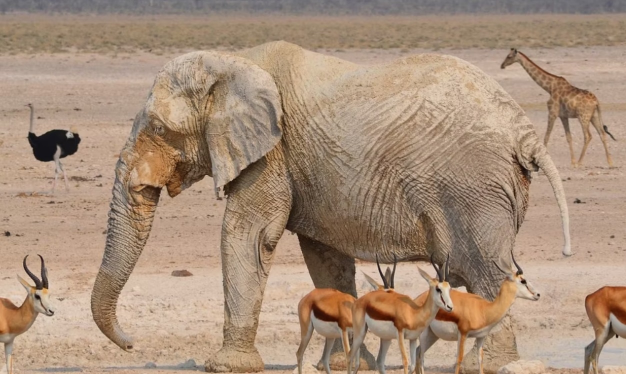 trai nghiem du lich anh 9