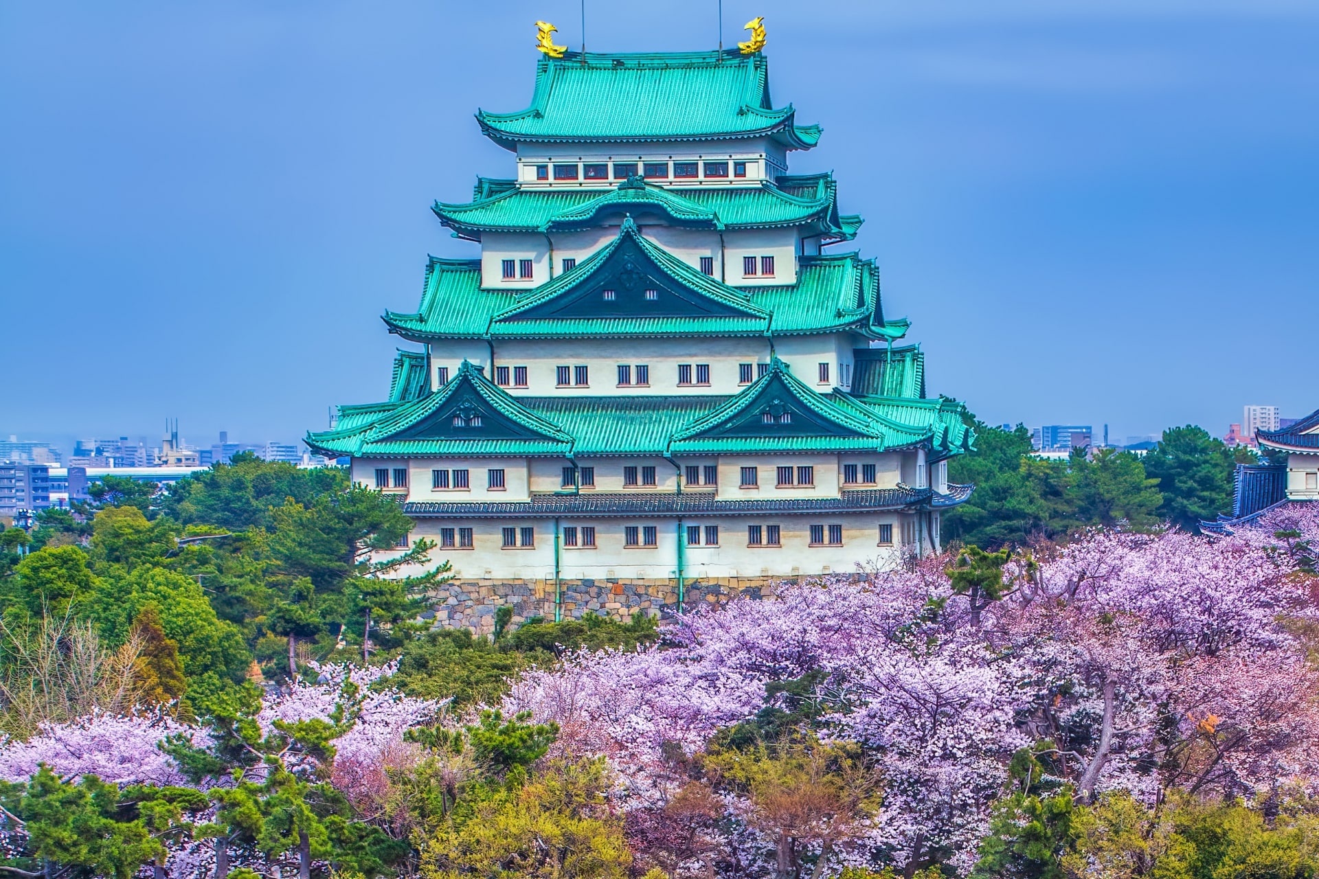 Diem den tuyet nhat anh 1