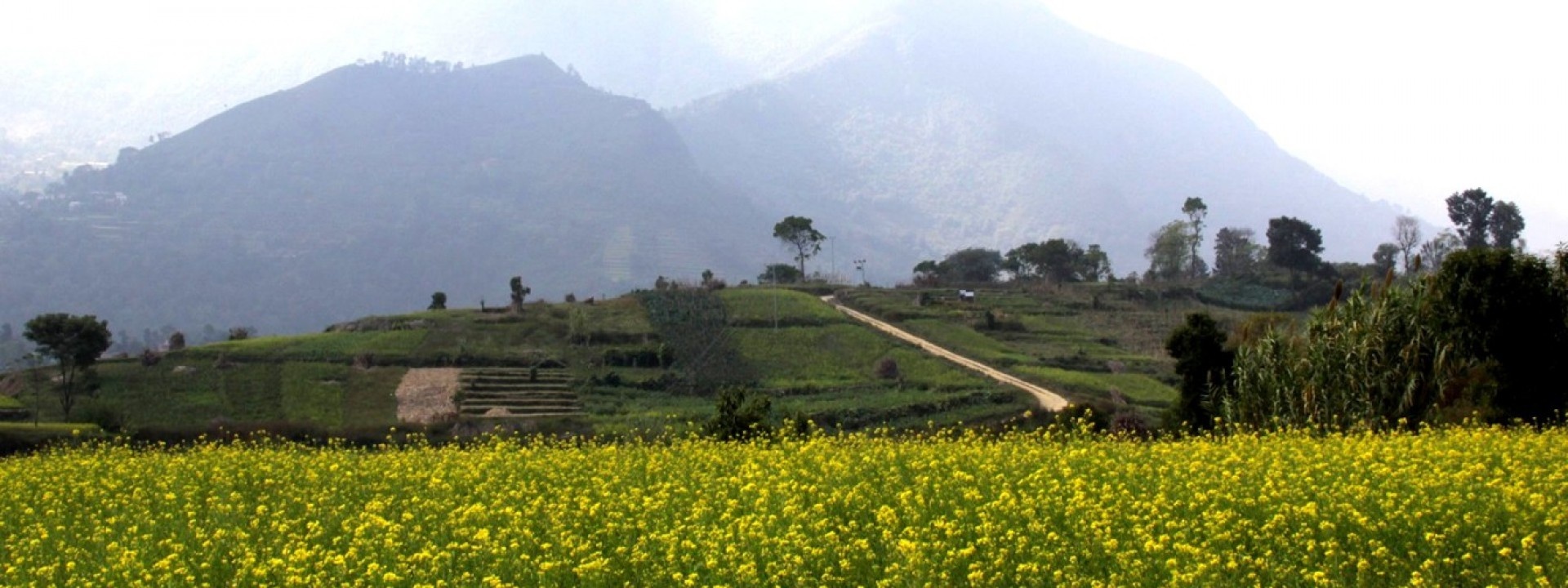 Trekking o Nepal anh 3