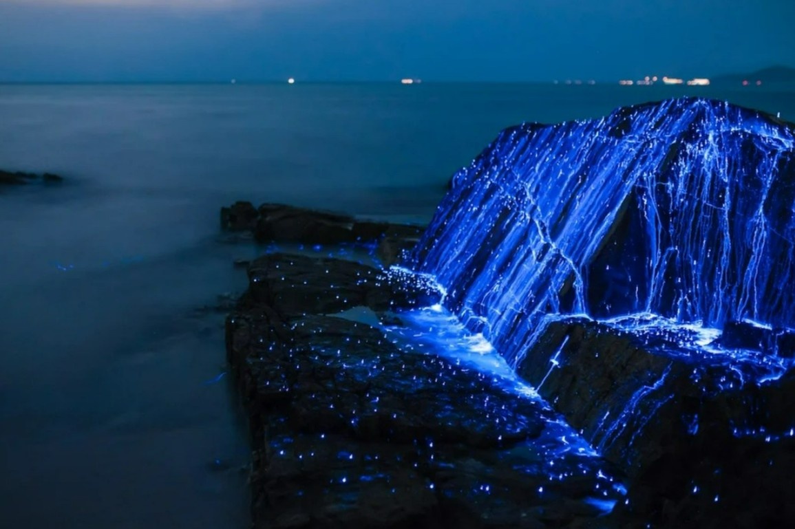 5 bai bien ruc sang ve dem hinh anh