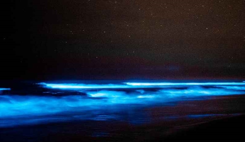 bai bien ruc sang anh 4