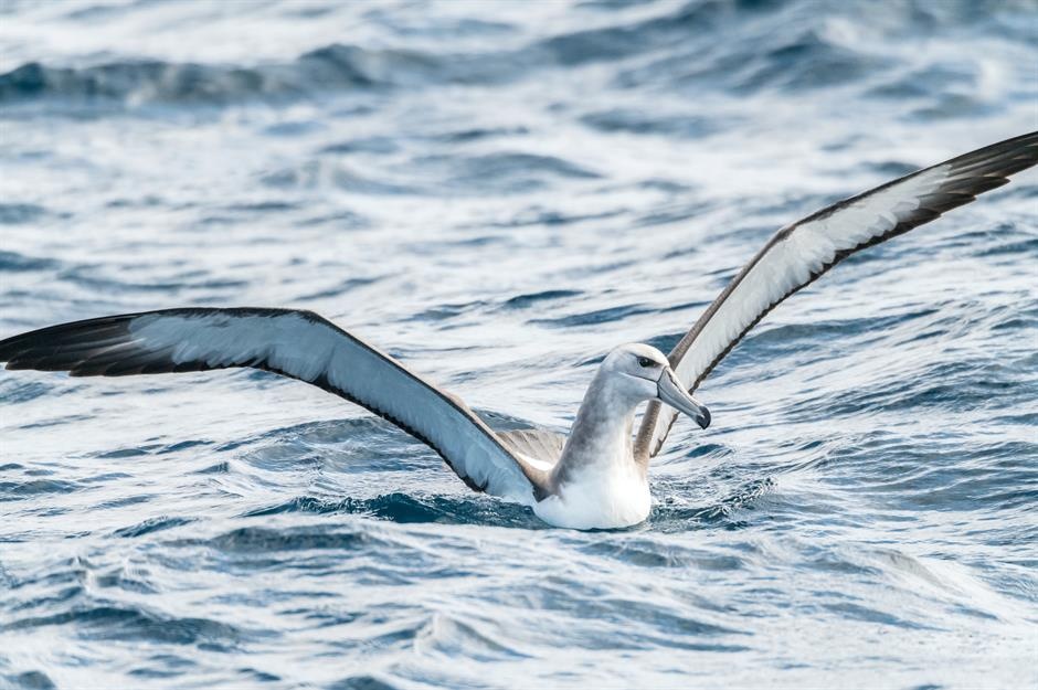 diem den o Australia anh 7