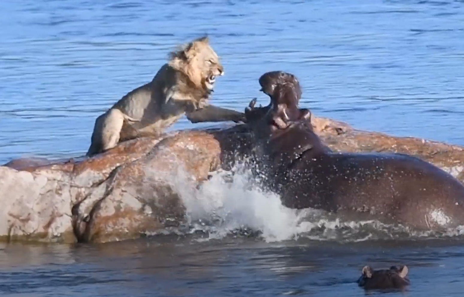 Ha ma tan cong su tu duc nam nghi tren tang da hinh anh
