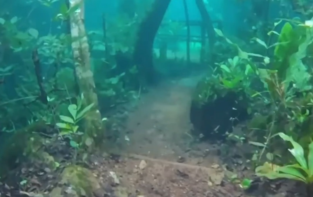 Canh dep sieu thuc cua con duong duoi nuoc o Brazil hinh anh