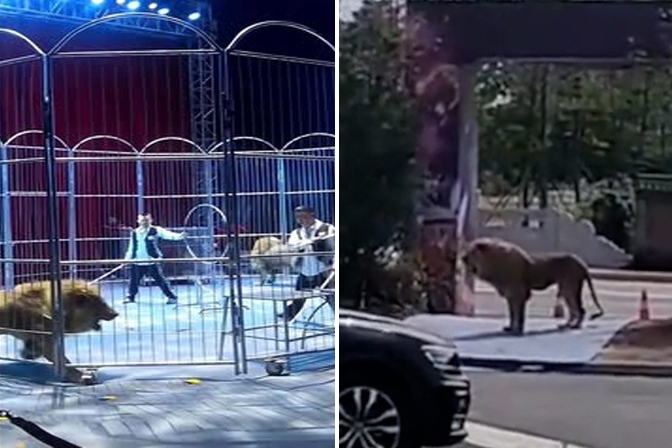 Su tu xong chuong khi dang dien xiec o Trung Quoc hinh anh