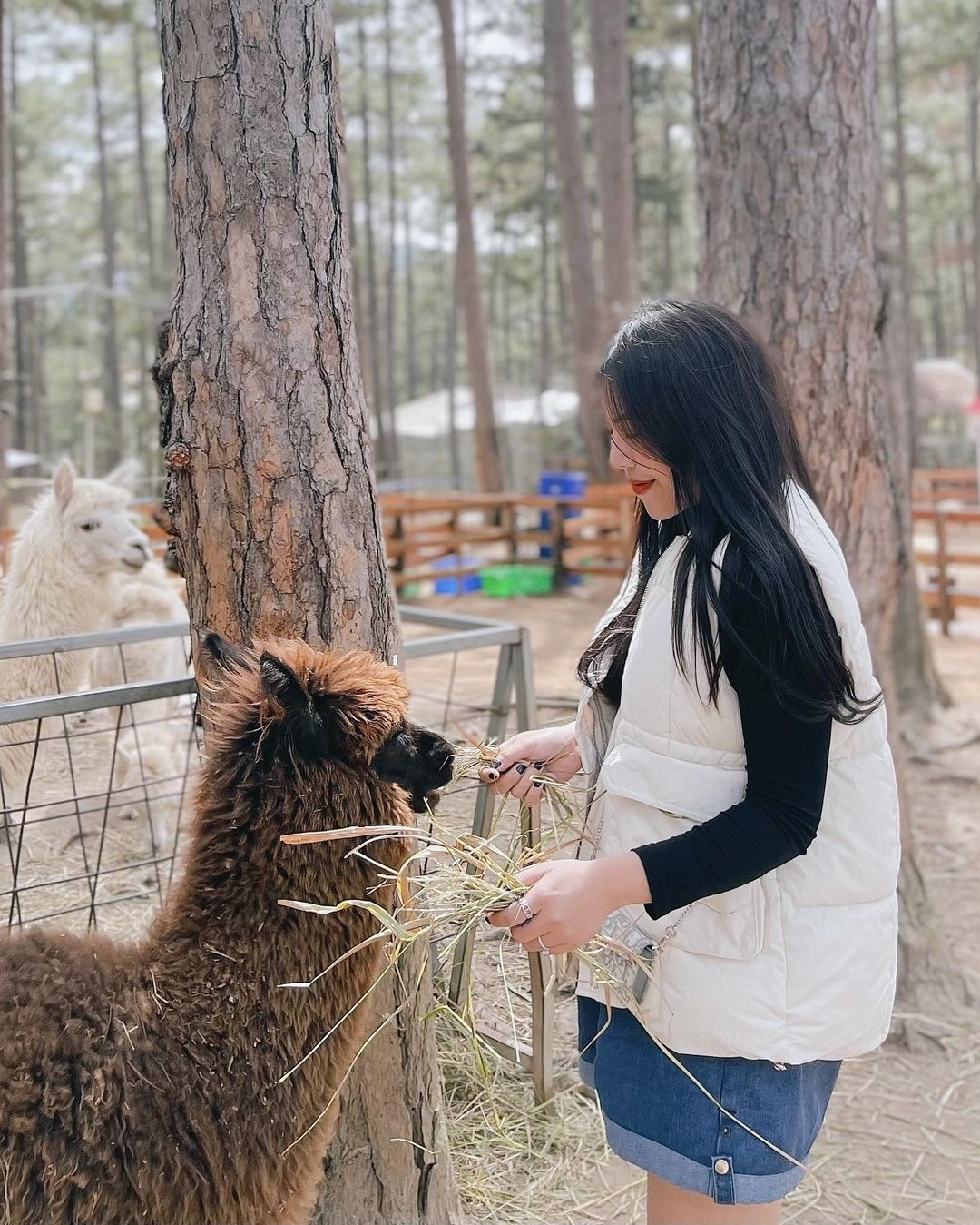 du lich Da Lat anh 5