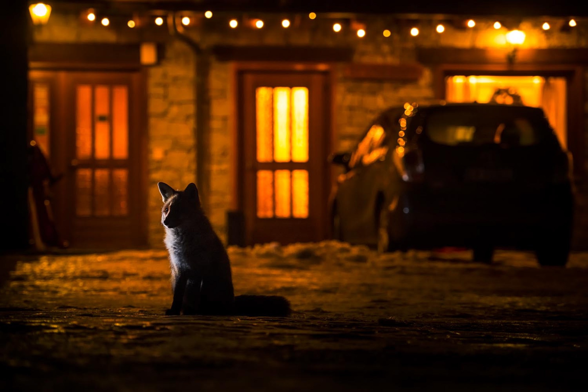 Nhiep anh Thien nhien Duc anh 4