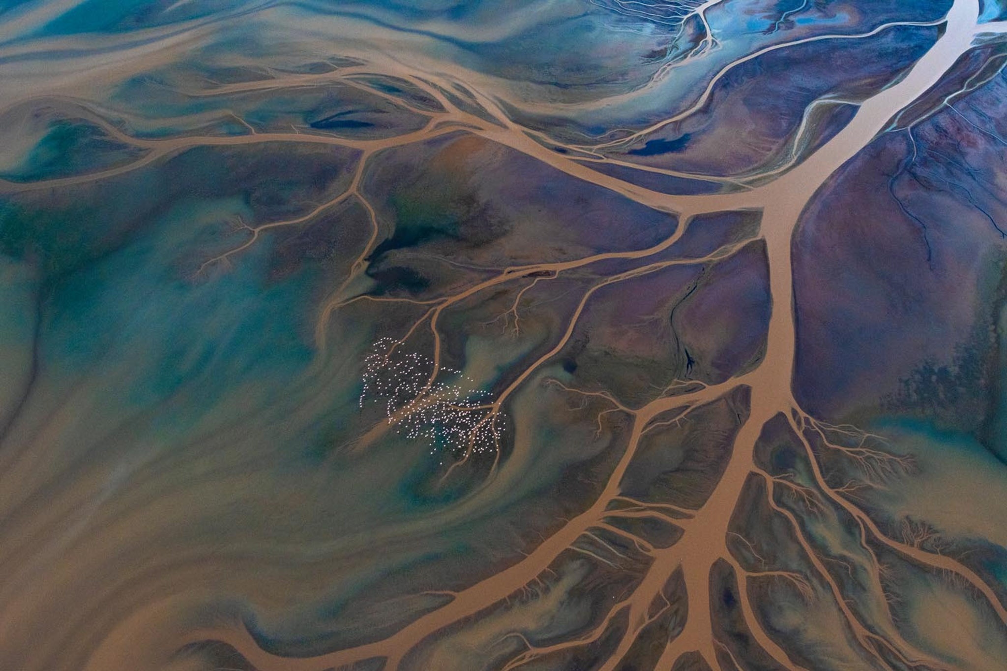 Nhiep anh Thien nhien Duc anh 2