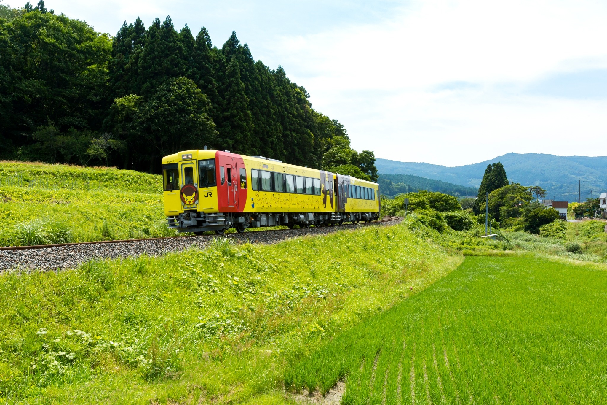 Tàu treo ảnh 5 Tau treo anh 5