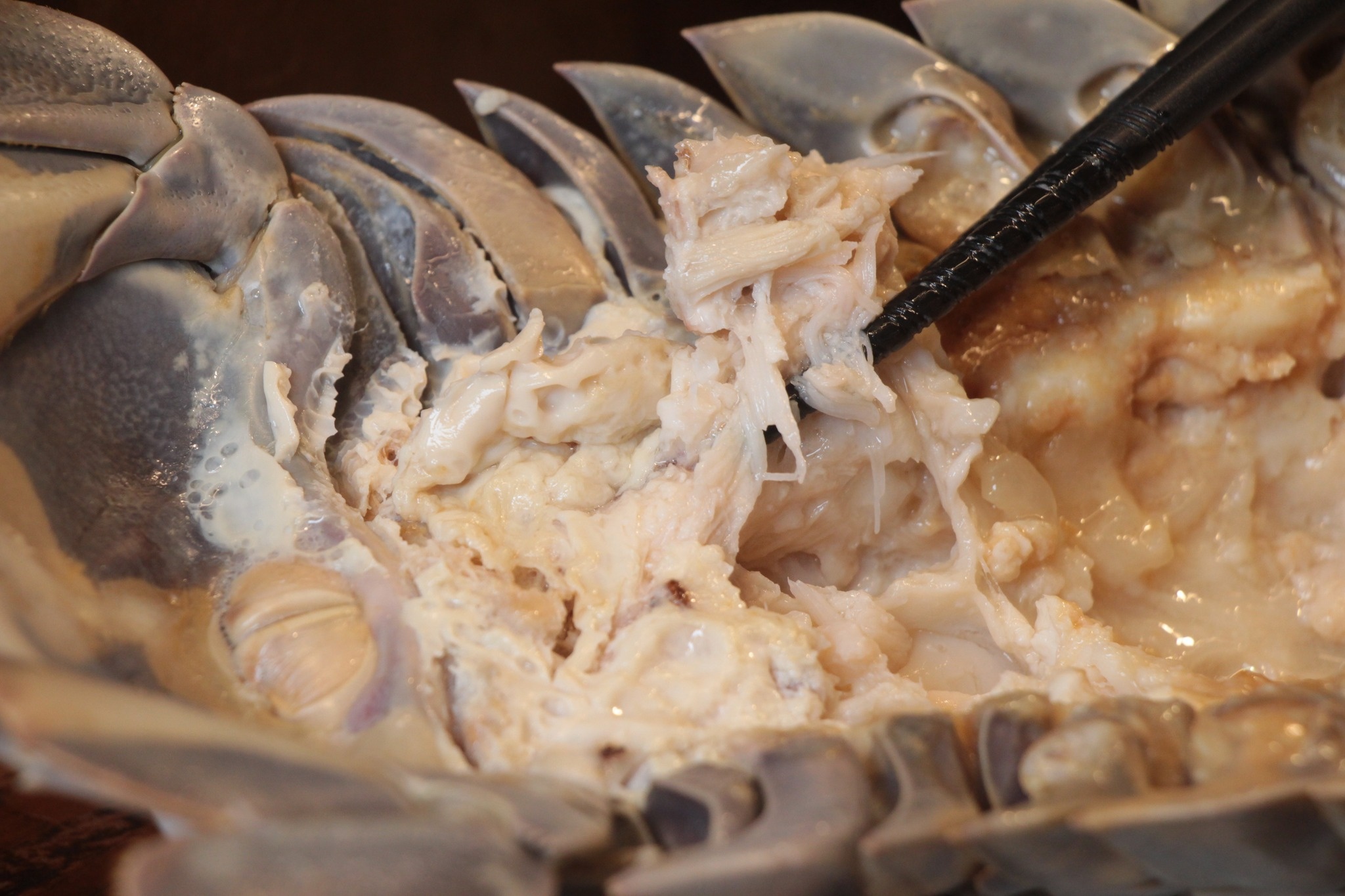 Bo bien khong lo anh 7