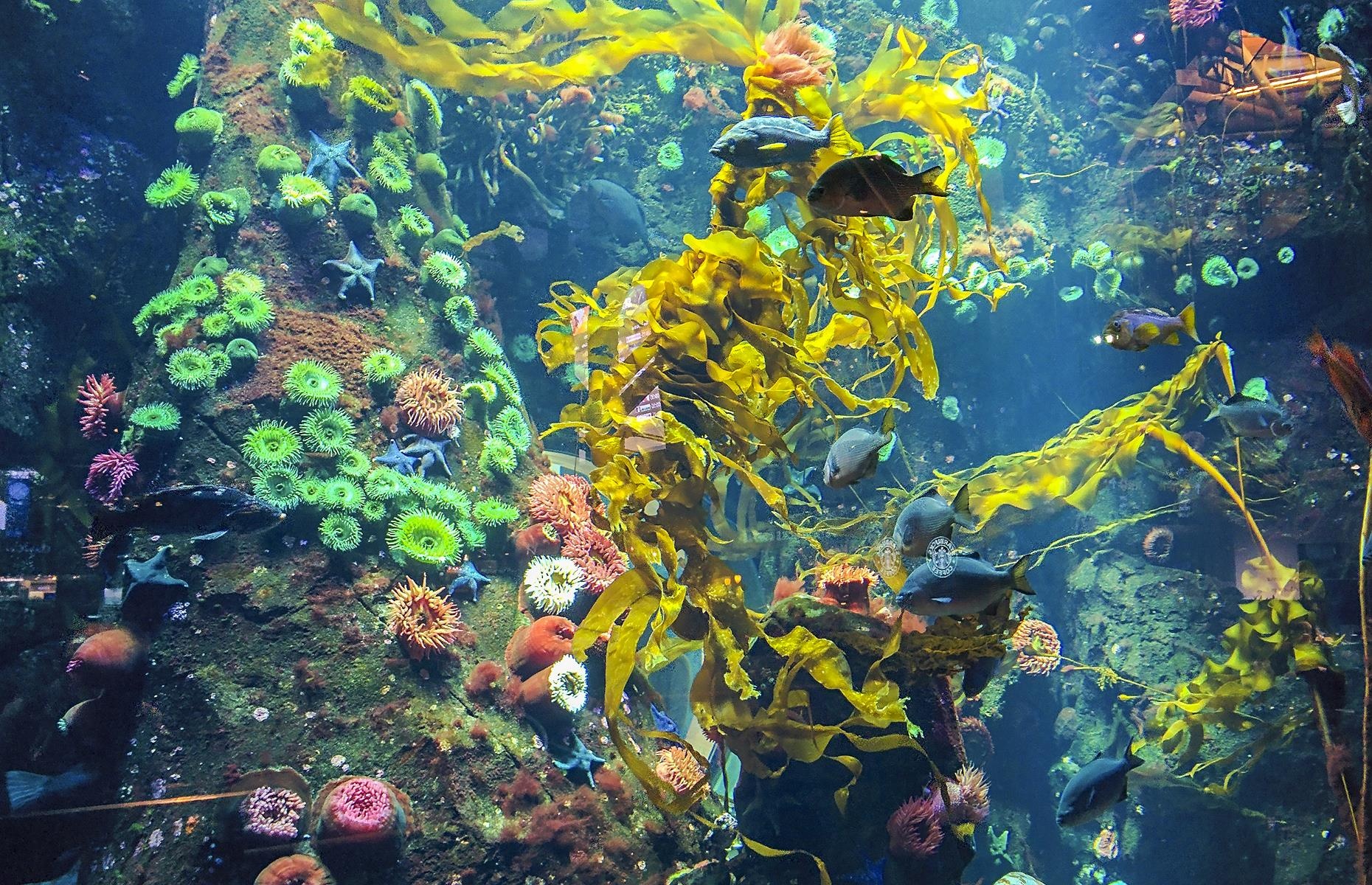 san bay thu vi nhat anh 2