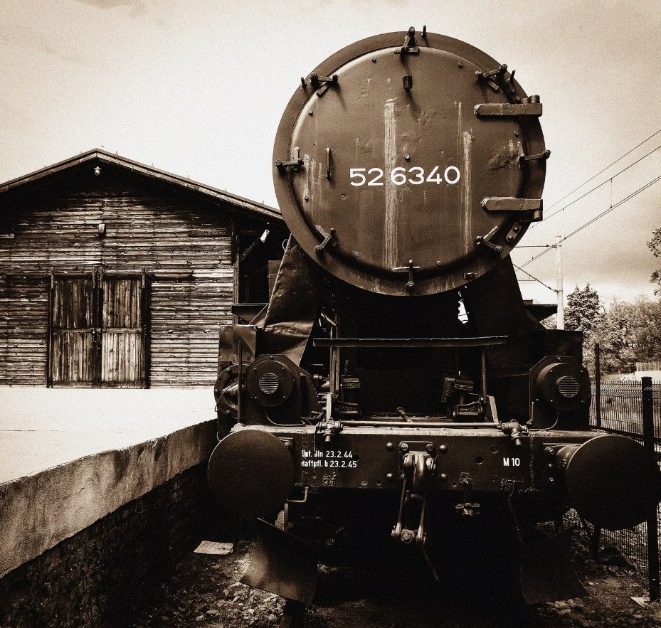 nha ga bo hoang anh 10