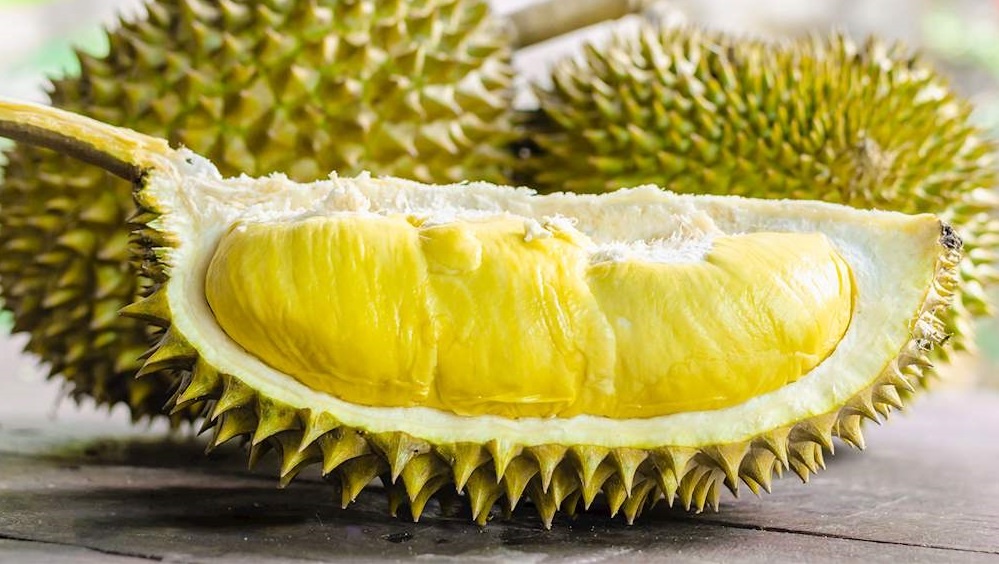 trai cay nhiet doi anh 8