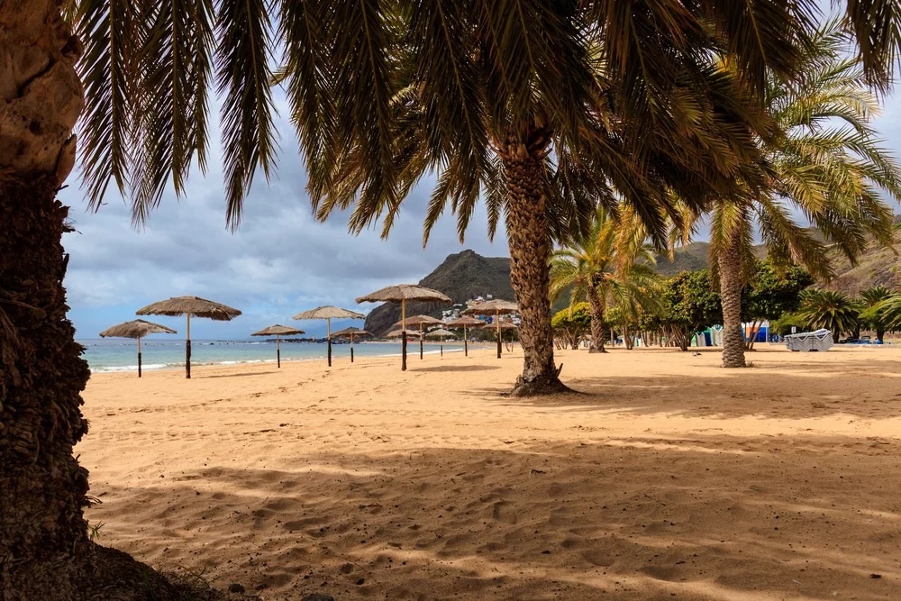 Playa de Las Teresitas  ảnh 7 Playa de Las Teresitas anh 7