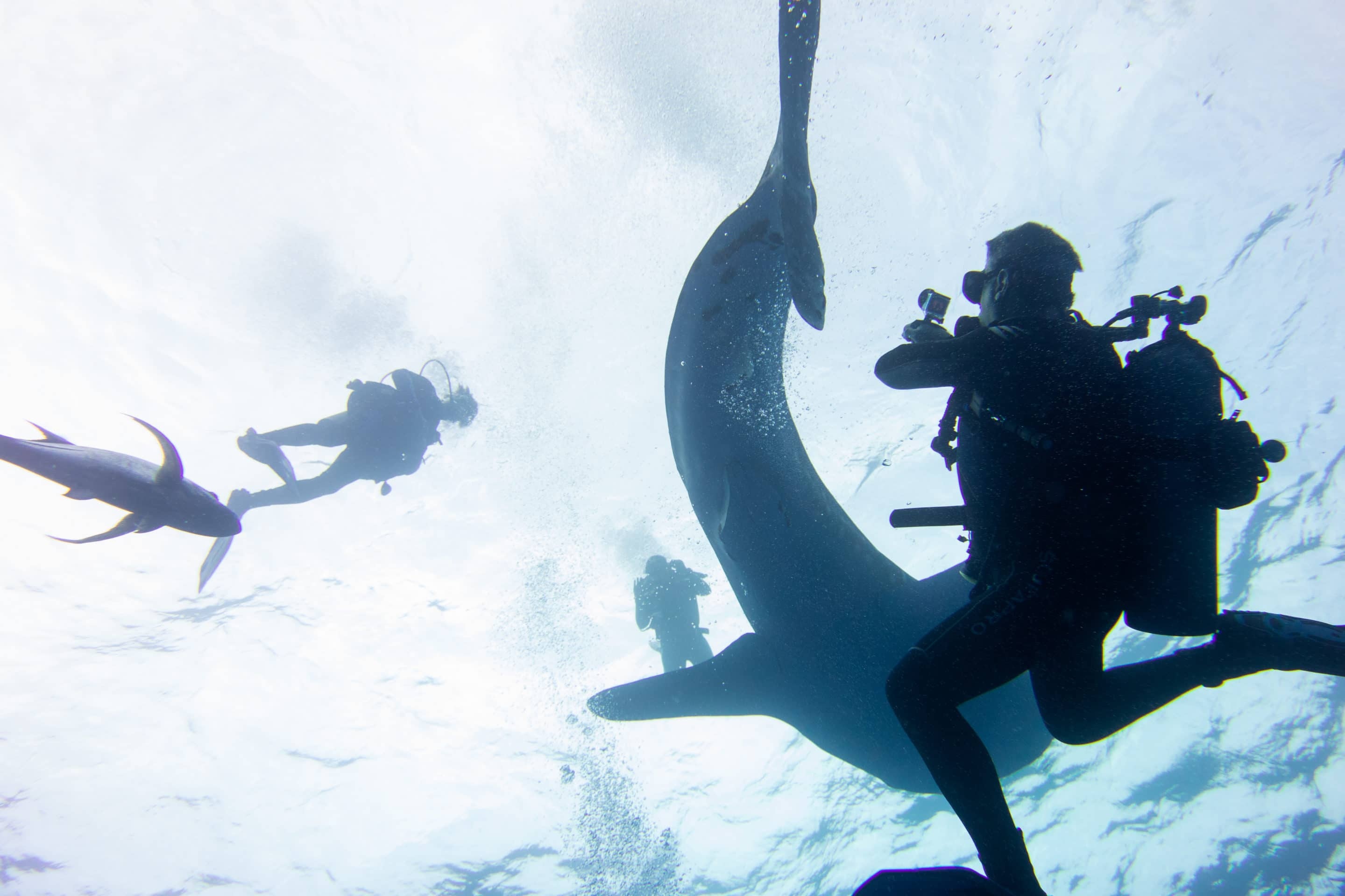 Resort dat nhat anh 6