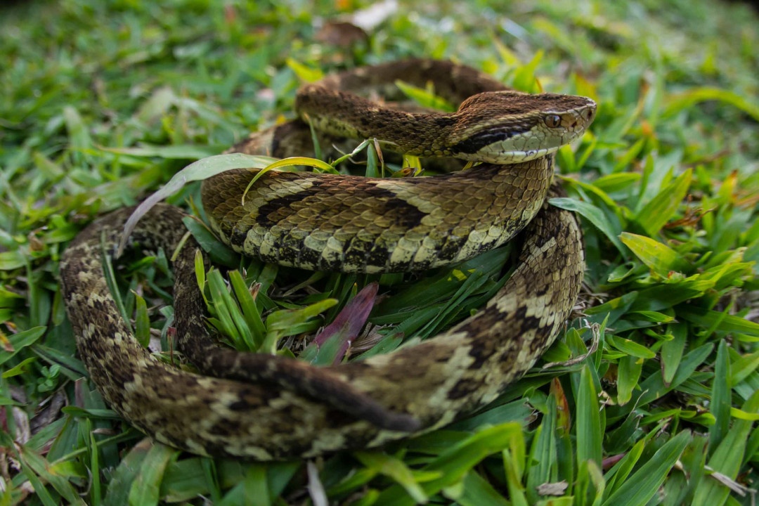 noi dang so nhat anh 8