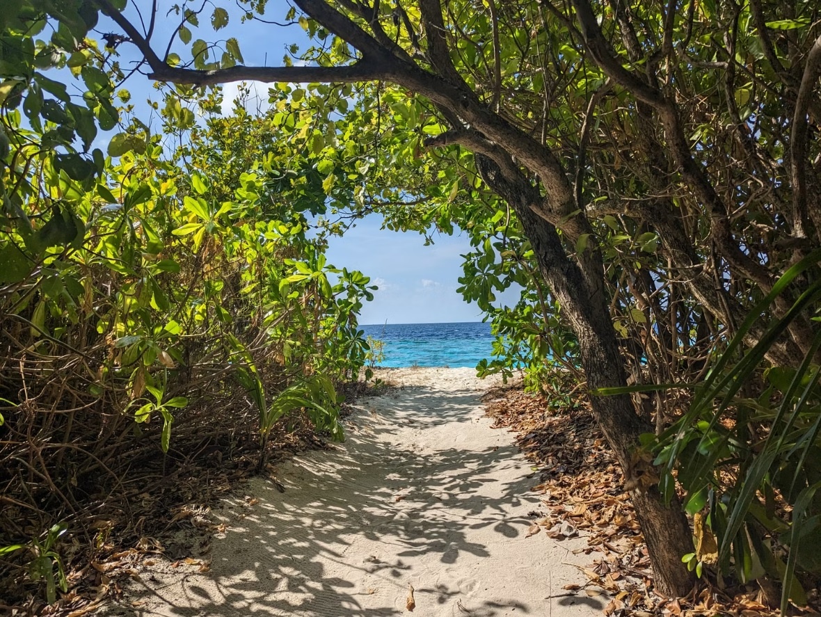 dieu thu vi ve Maldives anh 10