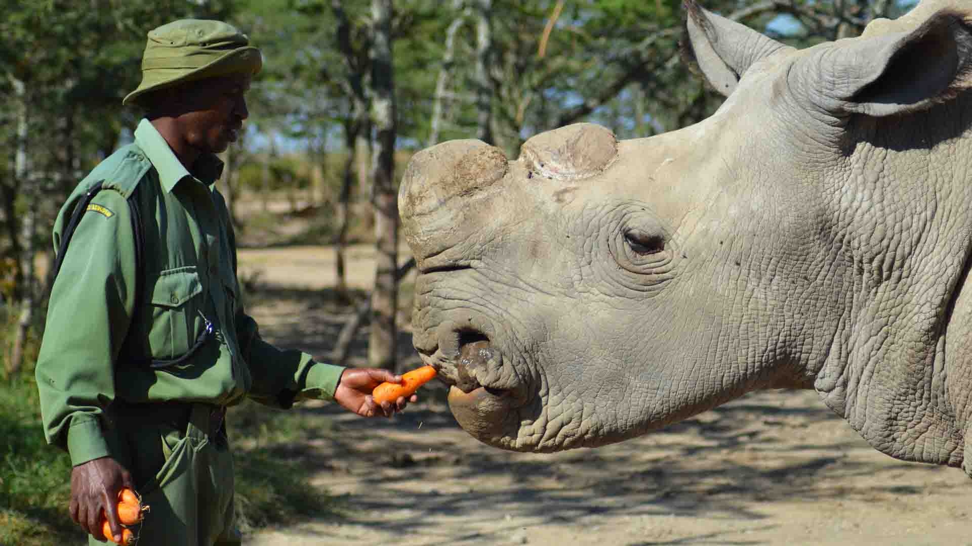 du lich dat do nhat anh 9