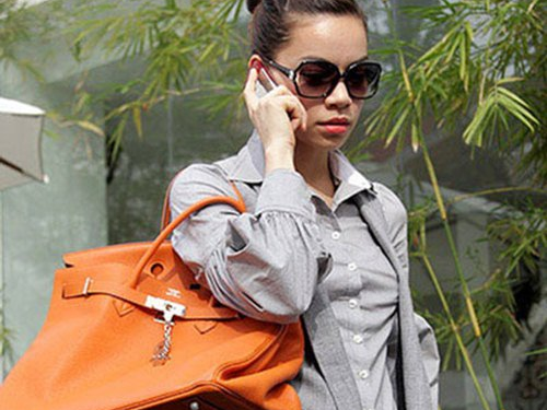 Dan tui xach tu vai chuc den ca tram trieu cua Ha Ho hinh anh