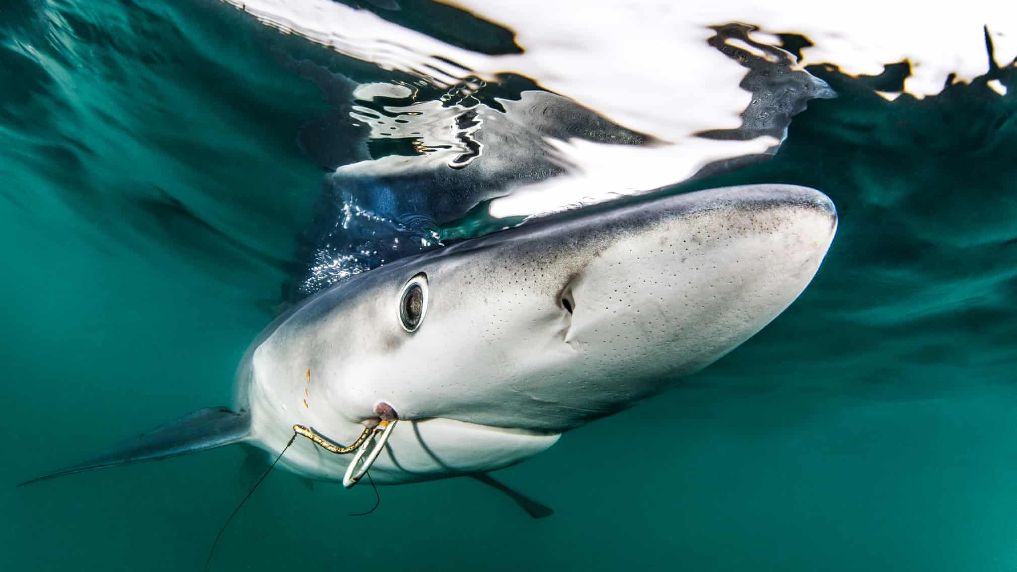 anh dai duong bi tan pha anh 3