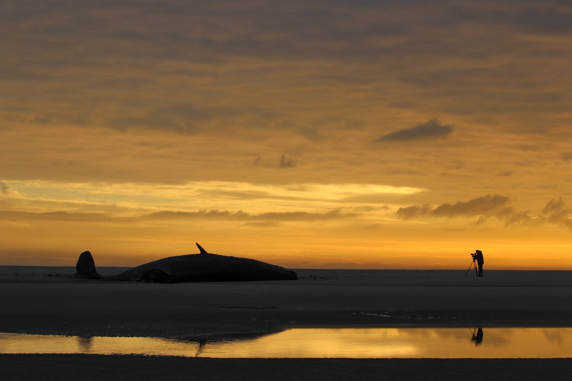 anh dai duong bi tan pha anh 10