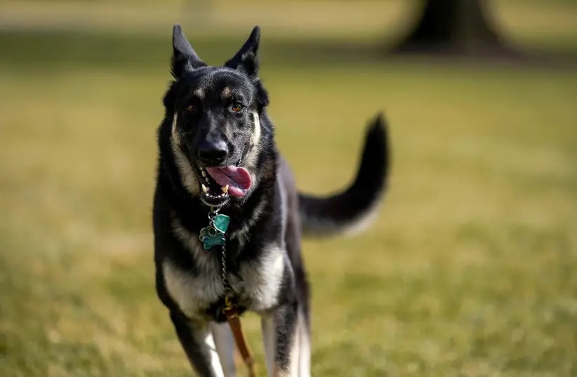 'De nhat khuyen' cua Tong thong Biden lai can nguoi hinh anh