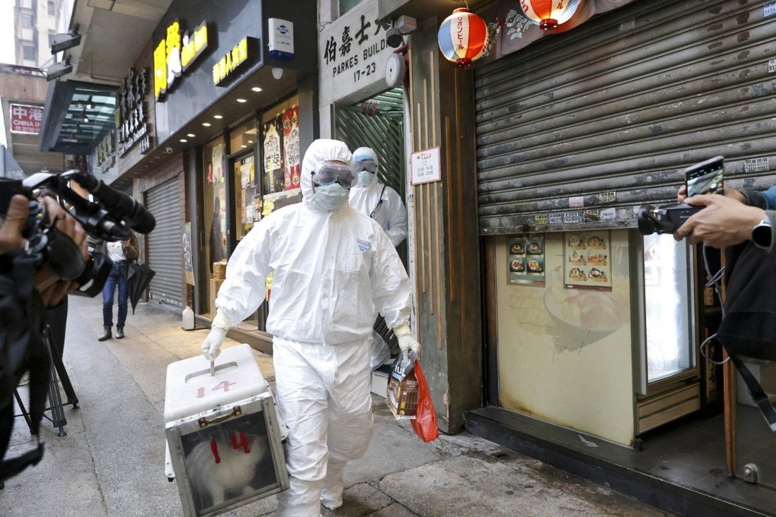 Phat hien bien chung manh, Hong Kong cach ly 80 cu dan hinh anh