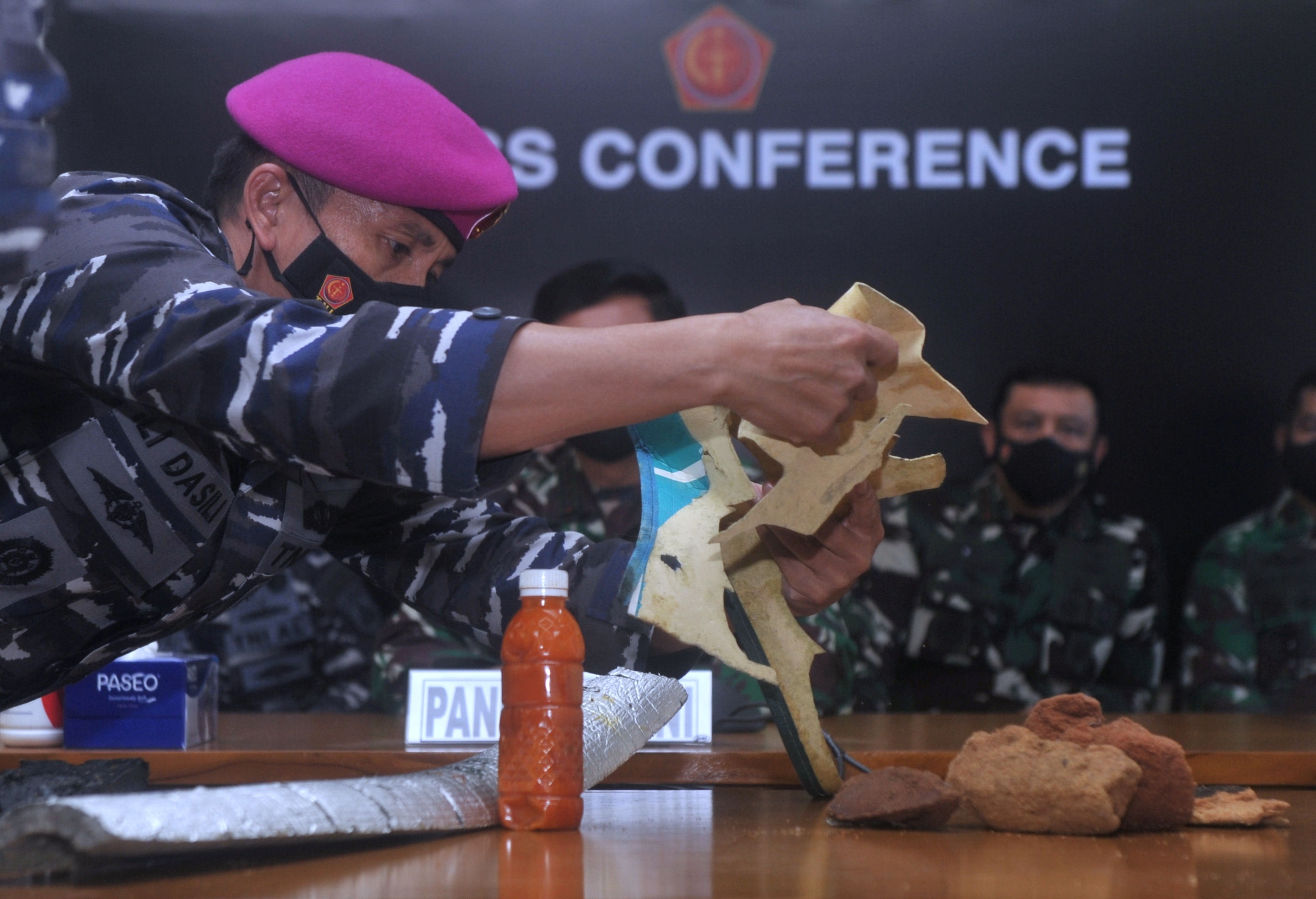 chim tau ngam Indonessia anh 3