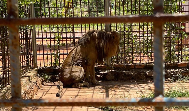 Nguoi Campuchia phan no vi buc anh chuong nhot su tu hinh anh