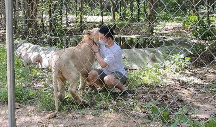 tra lai su tu nuoi tai gia anh 1