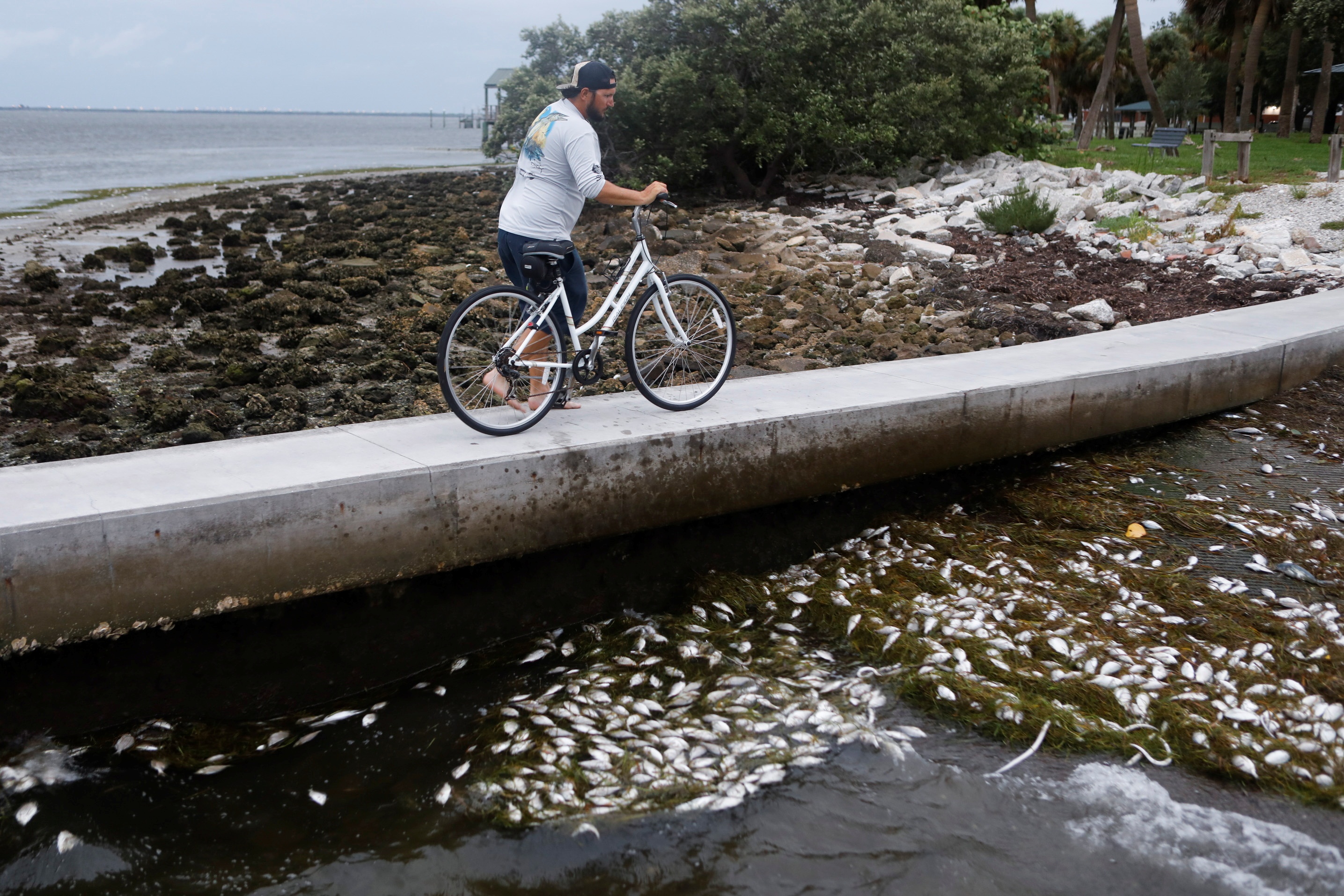 ca chet vi bao o My anh 3