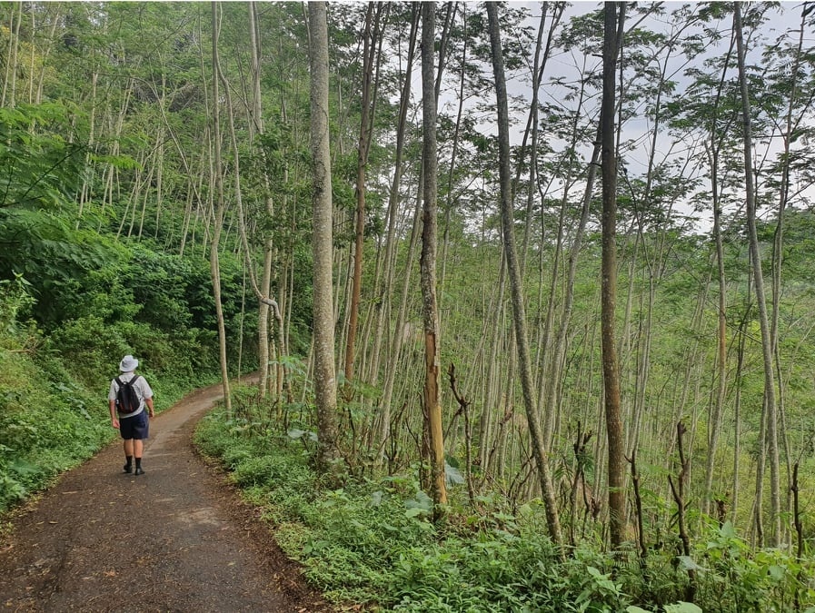 nguoi Viet o Indonesia tu chua Covid19 anh 8