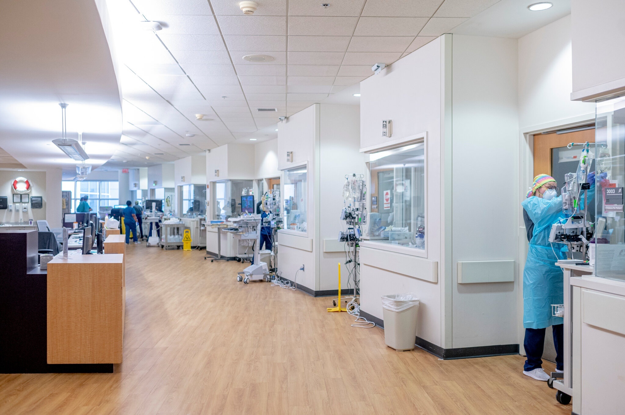 Covid19 o Louisiana anh 3