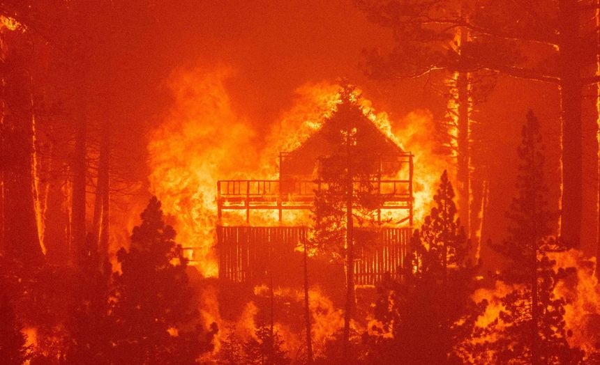 so tan vi chay rung o California anh 5