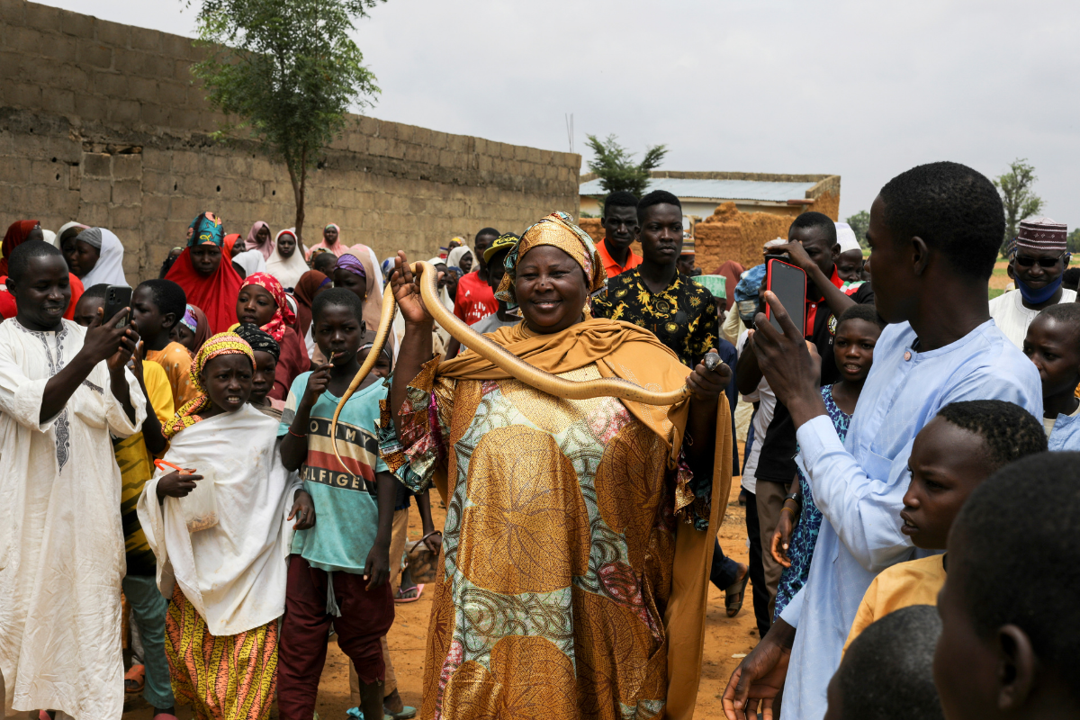 Nuoi linh cau de giai tri o Nigeria anh 4