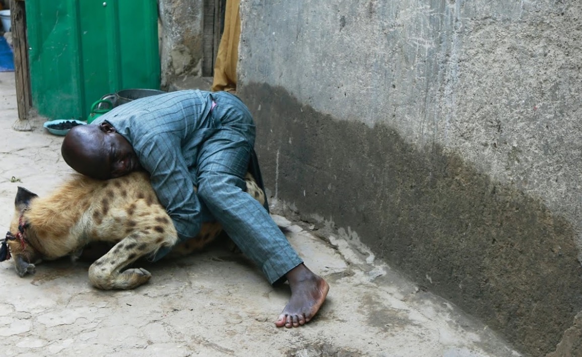 Nuoi linh cau de giai tri o Nigeria anh 10